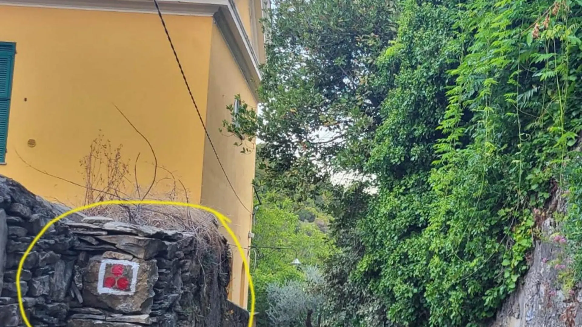 Appartamento CasaViva - Grazioso Bilocale a Camogli