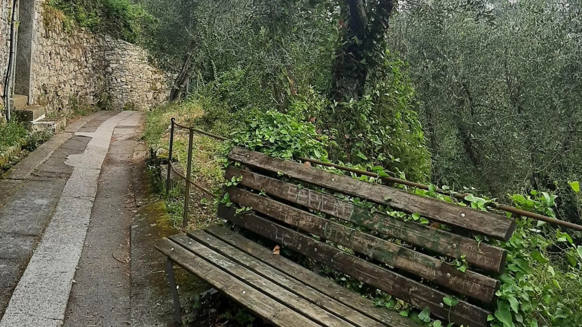 Appartamento CasaViva - Grazioso Bilocale a Camogli
